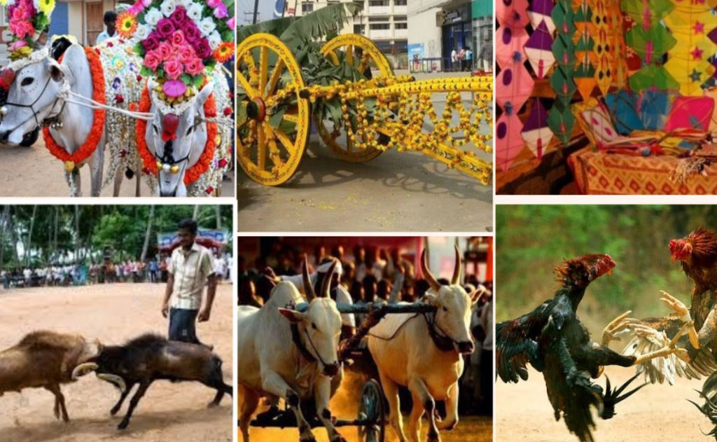 Rural Sports and Festivals in Telugu States
